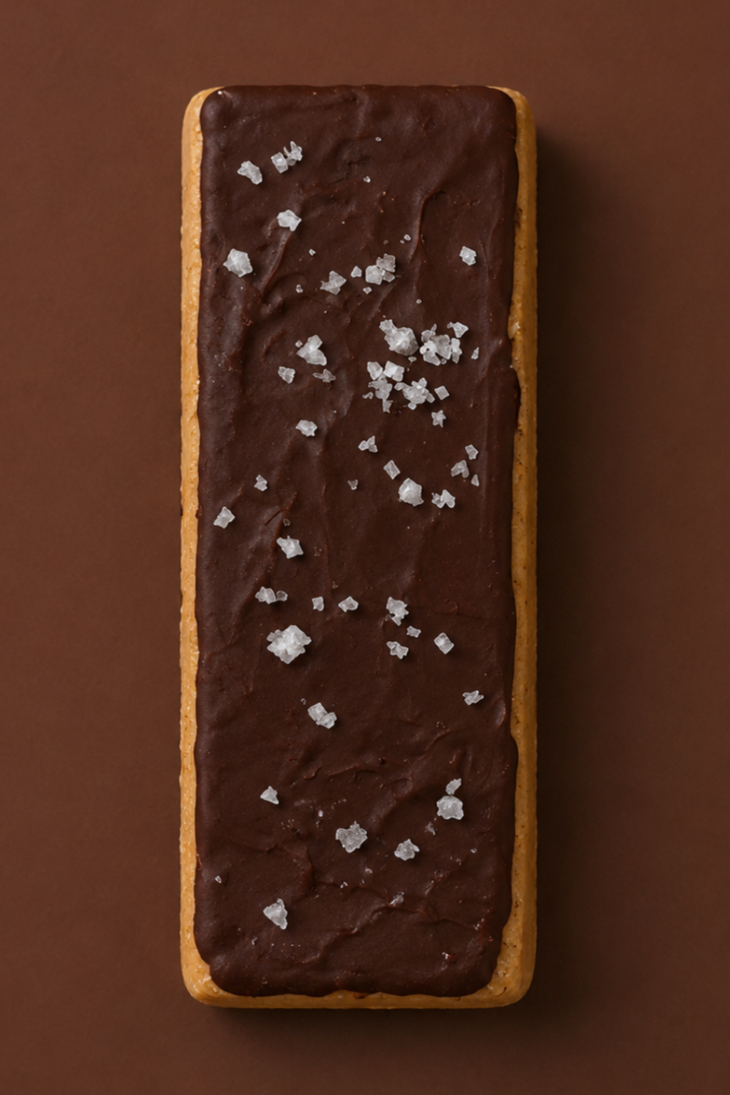 ntty sea salt chocolate protein bar made with simple, real ingredients